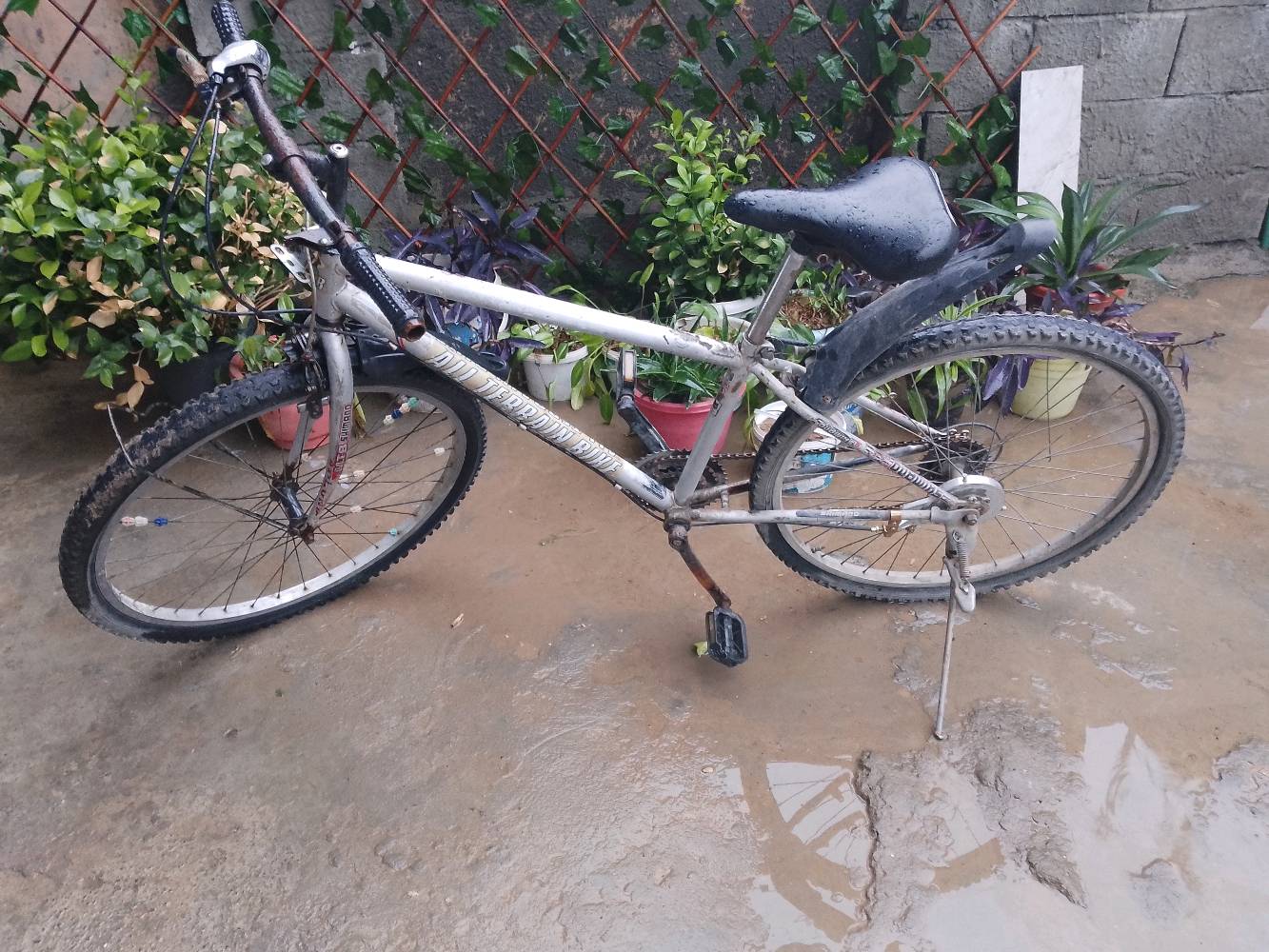 بايسكل للبيع حجم 24 نظيف كدام العين بس اظطريت ابيعه دطلع ع اربيل عندي شغل اهناك مكاني جانب ايسر قرب جامع النعيمي