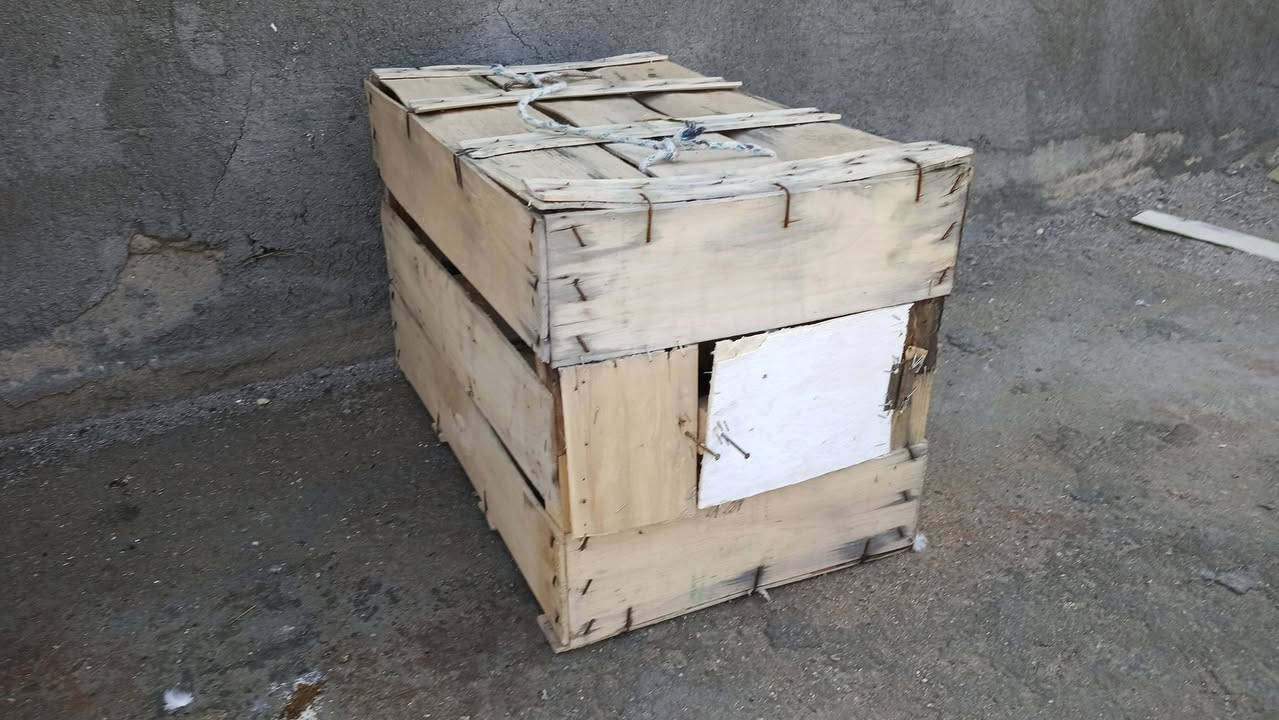 سلام عليكم اقفاص للبيع سعر ٥ الاف
عنواني . قضاء النصر حي الامام الرضا ع


**إذا كنت صاحب هذا الإعلان وتريد حذفه لأي سبب، رجاءا أرسل رسالة إلى الدعم الفني**