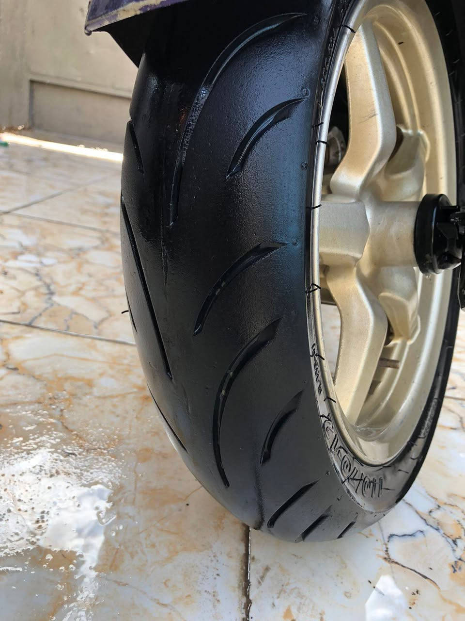 سكنس فحل للبيع الاستفسار والاتصال على هذا الرقم *********** الاتصال واتساب والسعر 700
