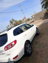 سنتافي • ٢٠١٢ • رقم اربيل