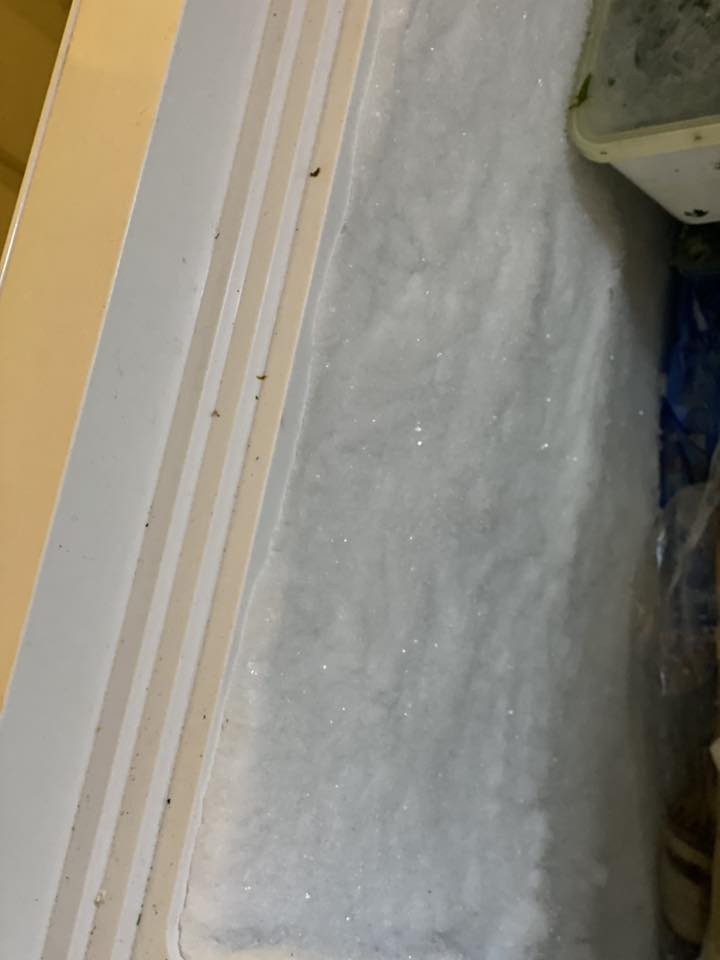 السلام عليكم
عندي هاي المجمده للبيع شغاله وتجميدها شغال فول يجننن واريد أبيعها سبب البيع مكان ماعندي واريد أبيعها حجمها چبير وجديده اللي يريدها يتصل ع الرقم 
***********
سعرها 350وبيها مجال
