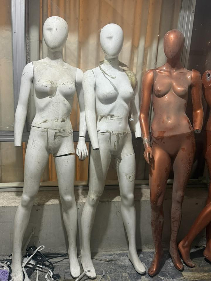 السلام عليكم ملكانات للبيع عل وضعهن شلع بسعر مناسبه قيم وتعال اخذهن مكانهن بغداد
***********
