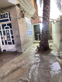 بيت • طابو صرف • ٢٦٠م