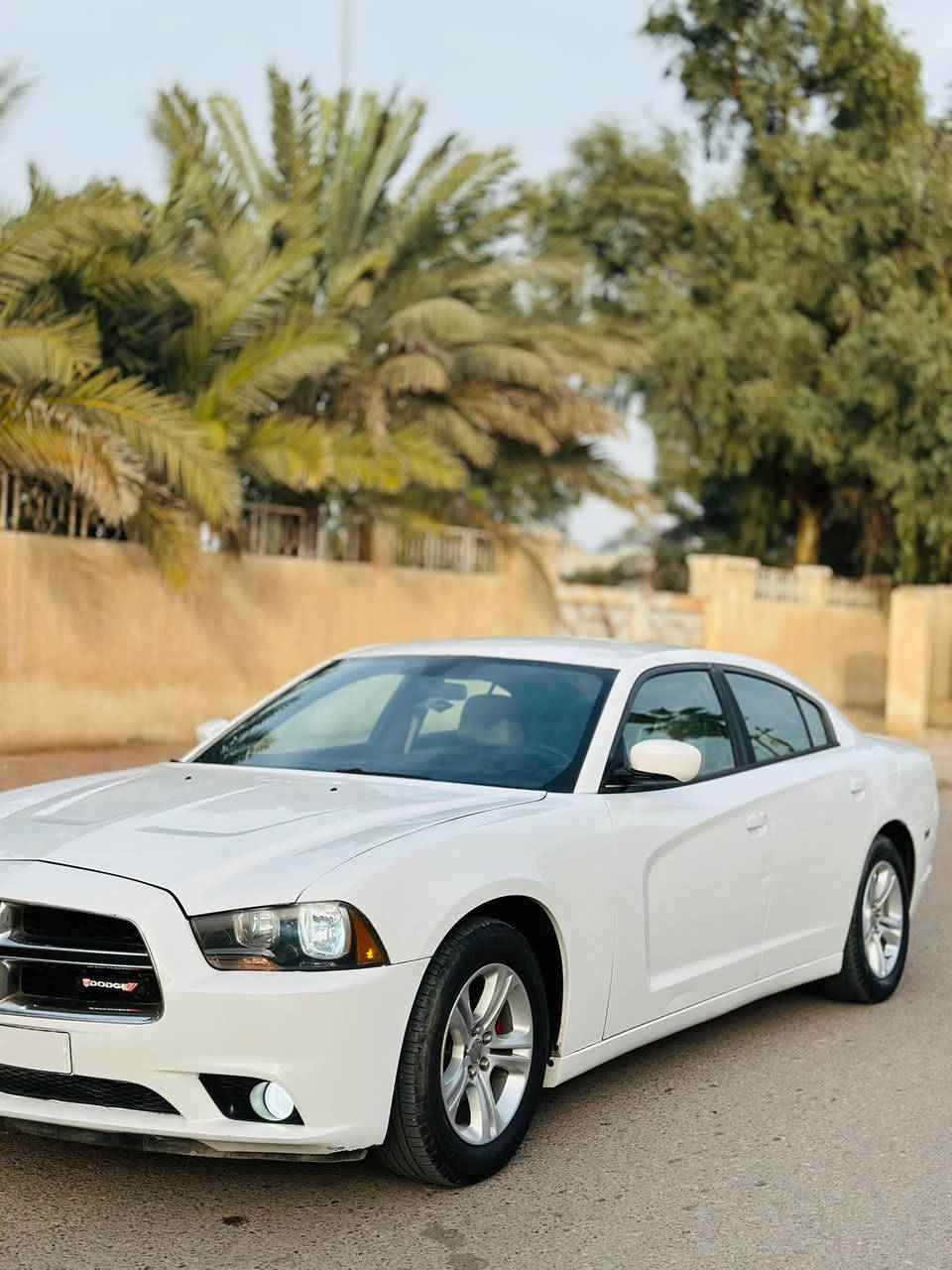 جارجر ادوات ادوات
بيع او مراوس
خليجي 2014
كفاله من الكص وضربه 
متوم طبق الاصل
سياره جديده مال جناي جاهزه للاخير
كير محرك حداديه كفاله
مكينه 6 سلندر 
عداد 260
شاشه جبيره SRT
غرفه عسلي 
تحكمات ستيرن 
شراي يتصل 
‭0773 522 7050‬
