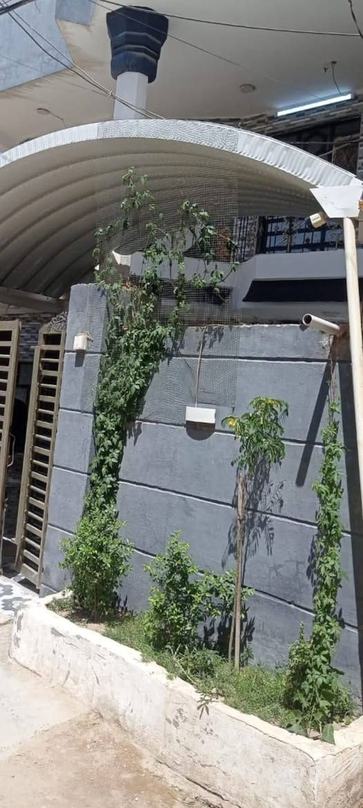 بيت للبيع طابو زراعي سند ٢٥ تحويل بأسم المشتري المساحه١٥٠ متر واقع حال ٢٠٠متر يبعد عن الشارع ١٠٠متر نزلت سعد بيجو مراجعة مكتب ابو نغم للعقارات سيف سعد قرب مستشفى الكفيل الجديد ***********
