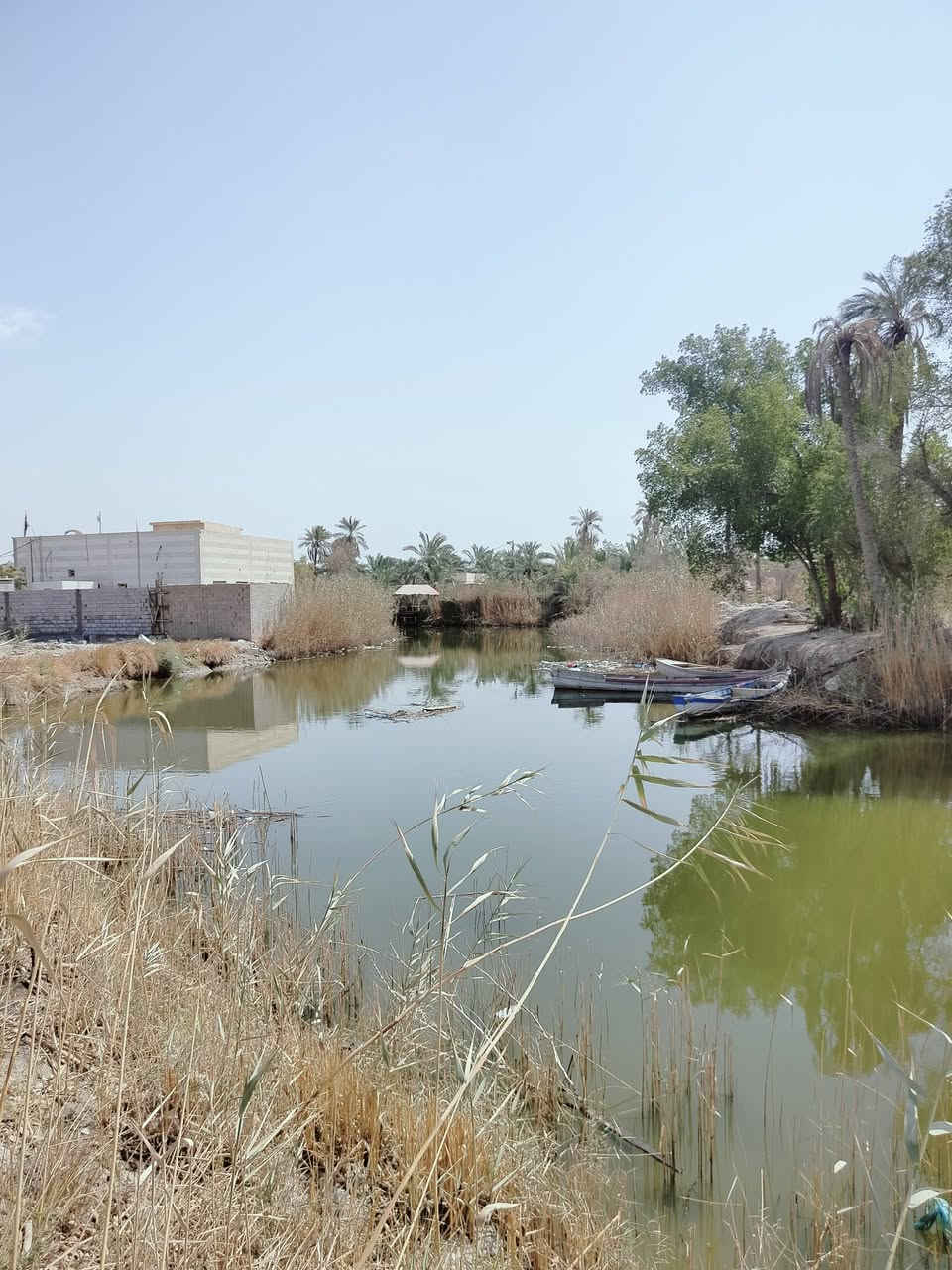 دونمين للبيع 
ابي الخصيب حمدان على نهر حمدان 
طابو ملك صرف تحويل باسم المشتري
السعر 900 مليون قابل للتفاوض 

عنوان المكتب 
شارع 14 تموز مقابل مطعم السوري 
***********_***********
