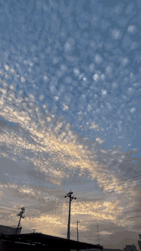 سيراتو ٢٠١١ • زينون • مكينة مكفوله