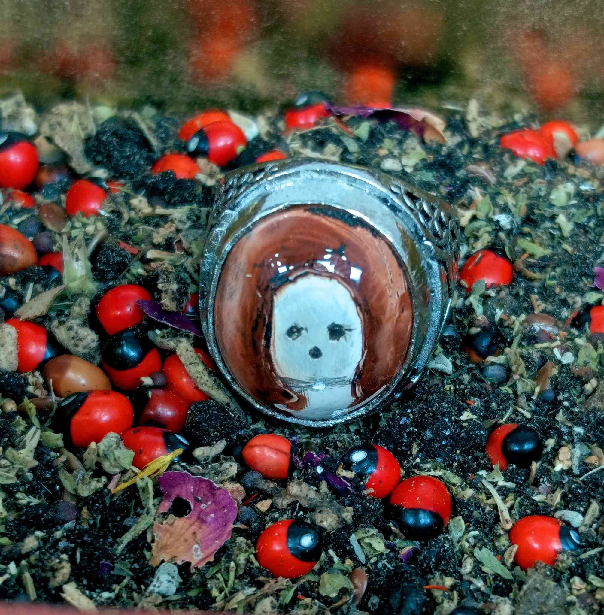 تحفه داودي أحمر فرعوني كلش قديم ،،،مصور تصويرين واضحات تاخذ وترحملي قطعه ميكررهه لتاريخ تصطر صطر شغله
(،،،جوكر عام،،) بكل التصاريف مجرب 💥 مال مزامط مرعب توكيل عام. طاقه وروحانية فول الفول لوتجني لولتلبس بعد 
منجم 14ليله كامل مكمل ،،مكات بغداد يوجد توصيل جميع محافظات العراق ،،ولي يحب يجي ويشرفني علراس ،،،وسعره خاص رجآ رجآن

وماكومراوس رجآ ،،،،،،***********
