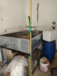 حوض سمك • بغداد سبع ابكار • سوك السمجه