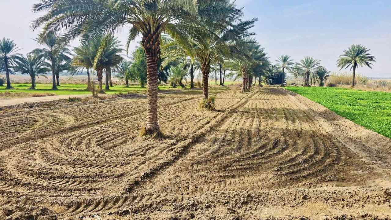 السلام عليكم ارض طابو زراعي سند/25/المساحه٢. دونم
الموقع خلف جامعه بابل / 
للاستفسار 
محمد رشيد ‏‪***********‬‏
منتظر الصليخي ***********
                        ***********
