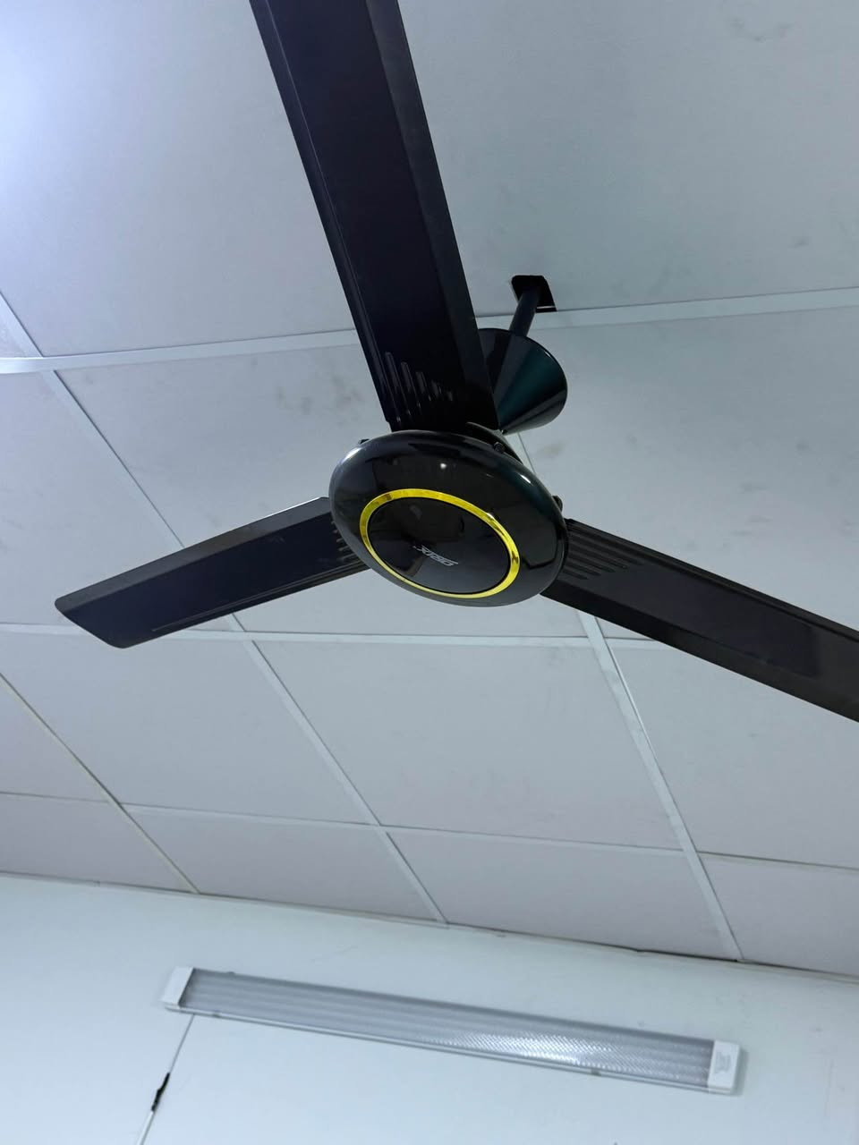 سلام عليكم سبلت كولد ستار طن ونص مستخدم شهرين فقط ابيع بسعر مناسب ٢٥٠ كركوك, العراق


**إذا كنت صاحب هذا الإعلان وتريد حذفه لأي سبب، رجاءا أرسل رسالة إلى الدعم الفني**