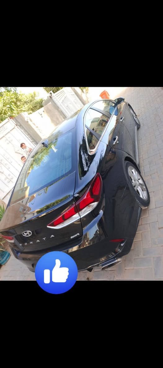 السلام عليكم سونات موديل 2019فول واحد على واحد حادثه مال امريكه قماره وجاملغ جهت السايق الخلفي ابيع صبغ صبغ عام جنطه وبجم كبس مال شركه بيع او مراوس 
اكسنت سيراتو النترا 
رقم سياره كربلاء 
عنوان كربلاء 
السعر 105وبيها مجال غير متواجد على الفيس 
***********
***********بي واتساب
