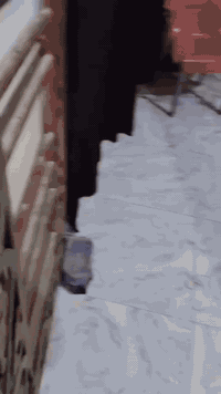 🔴دار للبيع  /📍حي الوائلي /طابوو صرف

المساحة 150متر ركن بناء حديث بلوك 

يحتوى على
   📍 ستقبال ومطبخ وصاله وغرفه وحمامات خارجيه وداخليه

💰السعر 75مليون 💵وبيه مجال 

للاستفسار /***********
🌐خلف محلات غازي ياسين
