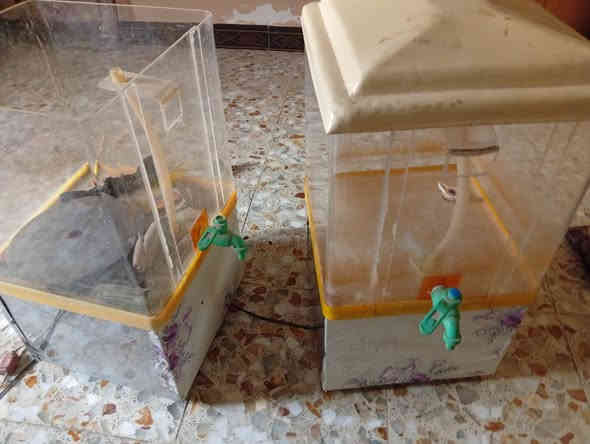 شلال عصير واحد شغال وثاني بس ماطور 
السعر 40وبيهن مجال ***********
