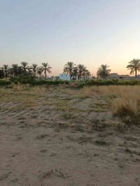 الرمادي الصوفية • ٢٤٠م • طابو زراعي