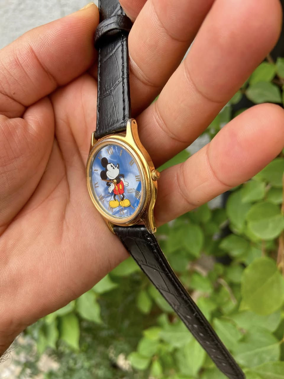 ساعة لوروس ميكي ماوس (Lorus Mickey Mouse) كلاسيكية ذات إطار ذهبي ومينا زرقاء.  وأرقام رومانية ميلين علامة تجارية تابعة لشركة سيكو اليابانية 
قطر ٣٦


**إذا كنت صاحب هذا الإعلان وتريد حذفه لأي سبب، رجاءا أرسل رسالة إلى الدعم الفني**
