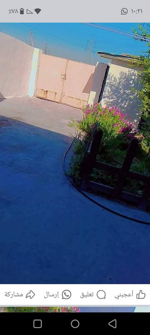 بيت للبيع زراعي المساحه 150متر بناء بلوك بي كراج. وحديقه غرفتين نوم صاله مطبخ خخددمات متوفركهرباء وطني وسحب منطقه هدوء العنوان الشعب الجمعيات الجمامع المحترك بلعبره مالل. مشروع بلبدايه السعر 50


**إذا كنت صاحب هذا الإعلان وتريد حذفه لأي سبب، رجاءا أرسل رسالة إلى الدعم الفني**