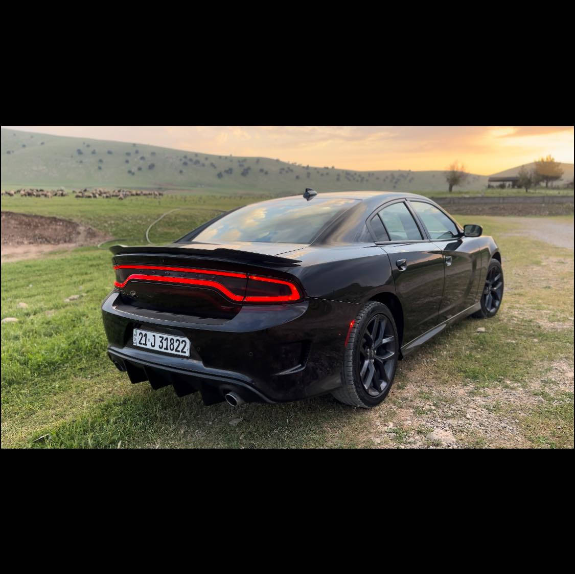 مۆدیل ٢٠٢١ - GT-مایل٦٣-١قطحەو نیو سبخ-سعر ٢١٥


**إذا كنت صاحب هذا الإعلان وتريد حذفه لأي سبب، رجاءا أرسل رسالة إلى الدعم الفني**