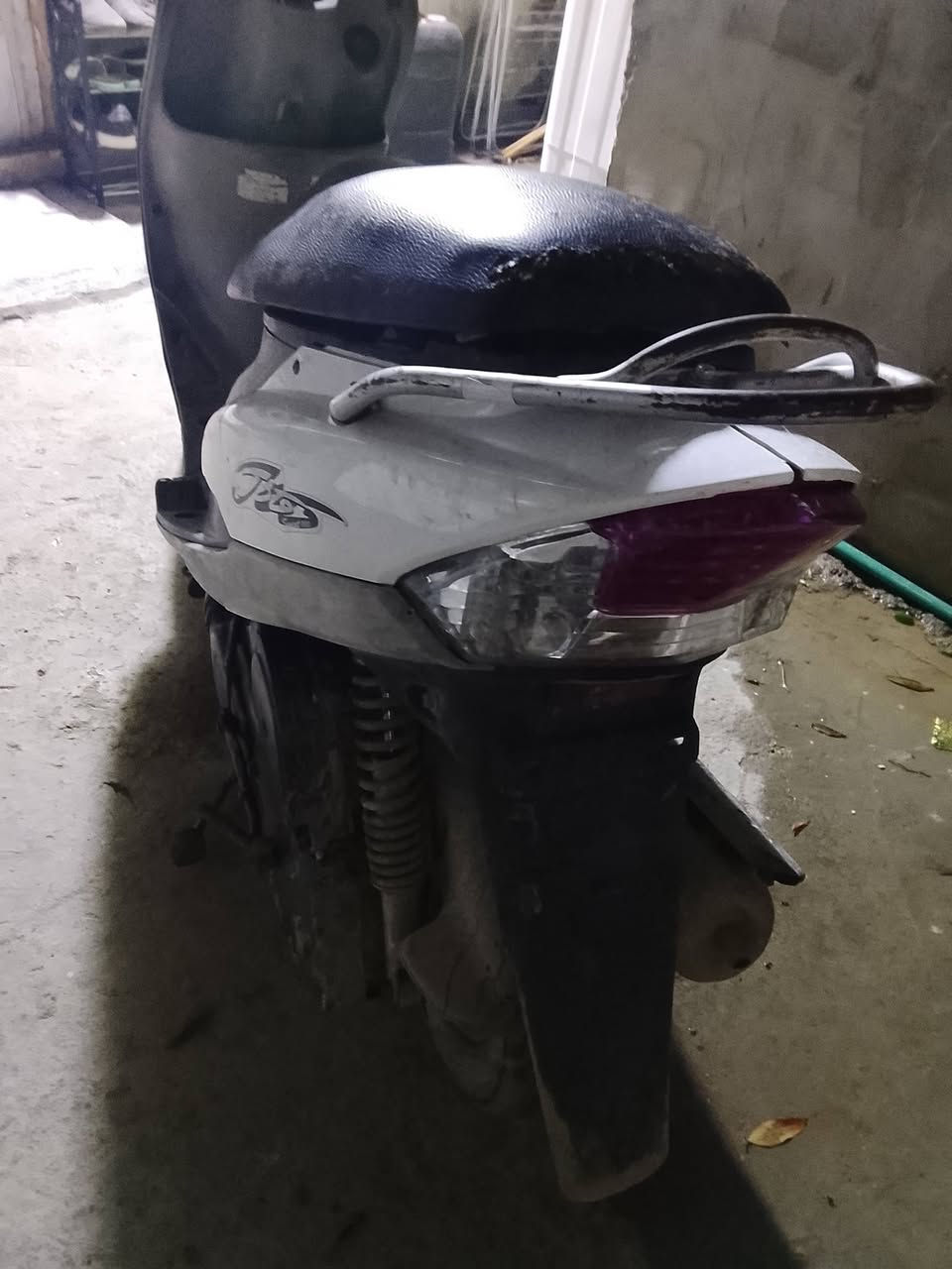 سلام عليكم ماكس منغولي جاهزه مراوس او بيع السعر 450 العنوان الغزاليه ***********
