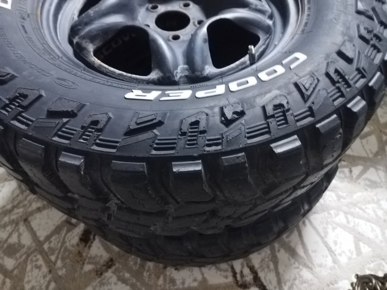 سلام عندي تايه جبلي لبيح ***********
