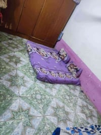 كوفه شارع المعمل • 170م • غرفتين