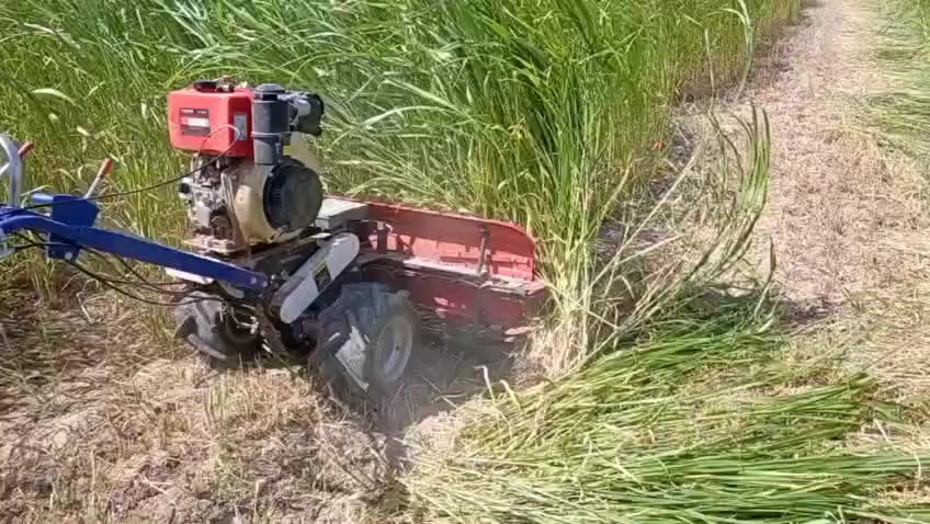 الحاشوشة اثبتت جدارتها وقوتها بالعمل وحصاد جميع المحاصيل من خلال تجارب الزبائن في جميع محافظات العراق الحبيب........ 

**المواصفات**
نوع ممتاز  دبل سكه (بكرات من الاعلى ومن الاسفل)
المنشا صيني
 محركة كامة
نوع الوقود كاز
القوة10حصان
طول السجين 120سم
التشغيل(سلف،وهندر)
الكير(سرعتين اماميةD، بوشN، بكR)
تتوفر جميع المواد الاحتياطيه 
للطلب والشراء
واتساب. ***********
واتساب.  ***********

يوجد توصيل لجمع المحافظات

#حلابات_ابقار_جاموس
#جاروشات_طاحونات
#مكبس_علف_اسماك_ابقار_مواشي
#ثرامة_سعف_قصب_جت_برسيم
#رودفيتر_رفاسة_تربه
