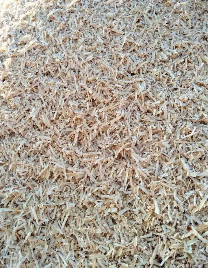 ادمن وافق 🤍
توجد نشارة 🪵بيضة يابسة درجة أولى خالية من الشوائب ويوجد توصيل لكافة  للأتصال ***********  موجود خاص او واتساب
