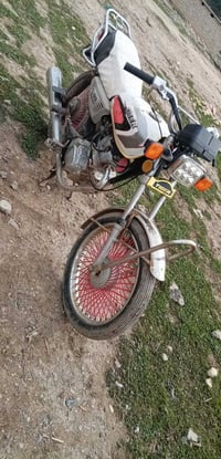 تايكر ٢٠١٩ • معمر مره واحده • حمام العليل