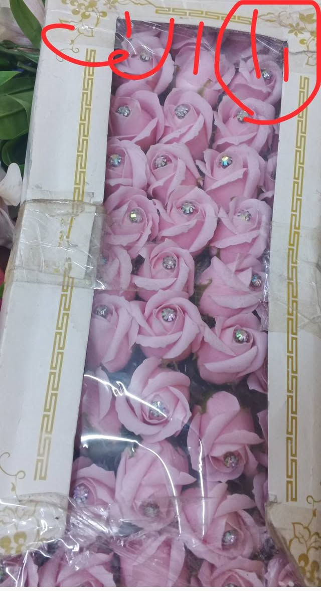 متوفر كلمن وسعره يوجد توصيل


**إذا كنت صاحب هذا الإعلان وتريد حذفه لأي سبب، رجاءا أرسل رسالة إلى الدعم الفني**