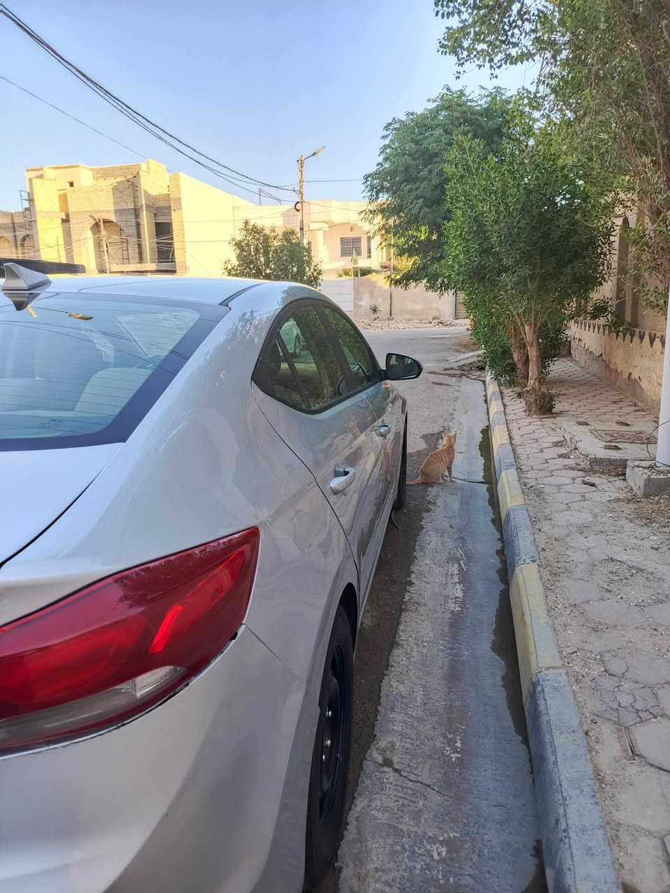 النترا موديل 17 حادثها  باب سايق مصبوغ وجنطة
مكينة دوش كير اي تي المرغوب 
رقم بابل باسمي مكاني كوت للاستفسار ***********
السعر 115 وبية مجال قليل
