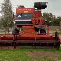 اخوان عندي هاي الحاصده. للبيع اتصل 07703756348.. متوفرواتساب