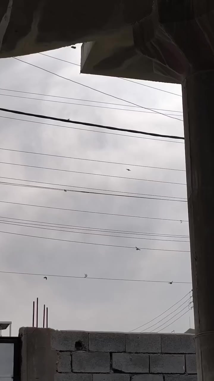 ماكس مضلع نوزل للبيع
ماكس مضلع للبيع 
فقط الكفر مزلغ
الباقي كفالة عامة على وضع الرمبة برغي مامفتوح بيها
السعر750
للأتصال ***********
