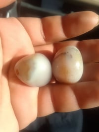 للبيع • متفرقات • أغراض شخصية