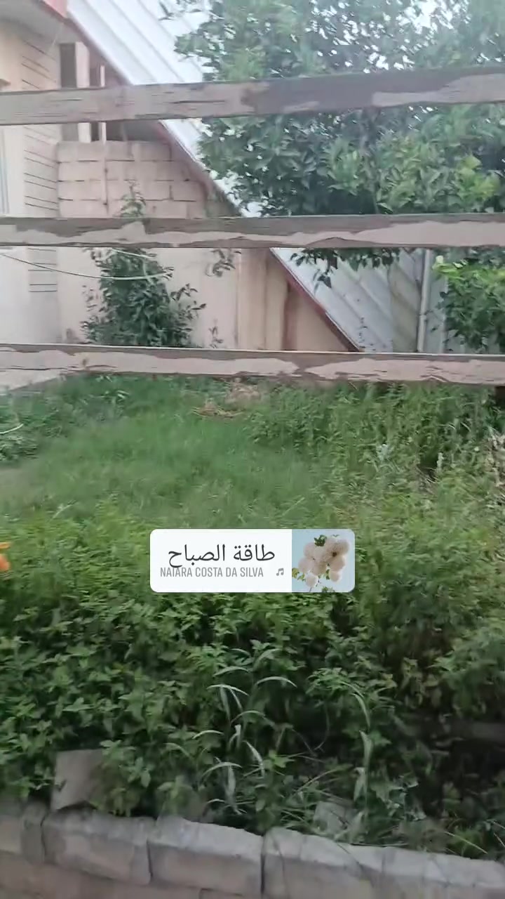 دار للايجار في الموصل حي البلديات
 غرفه نوم هول استقبال مطبخ صحيات مخزن بيتونه كراج حديقة 
*********** ابو احمد 
*********** ابو سيف 
*********** ابو احمد 
مكتب اليمامه حي السكر قرب مستشفى الخنساء
