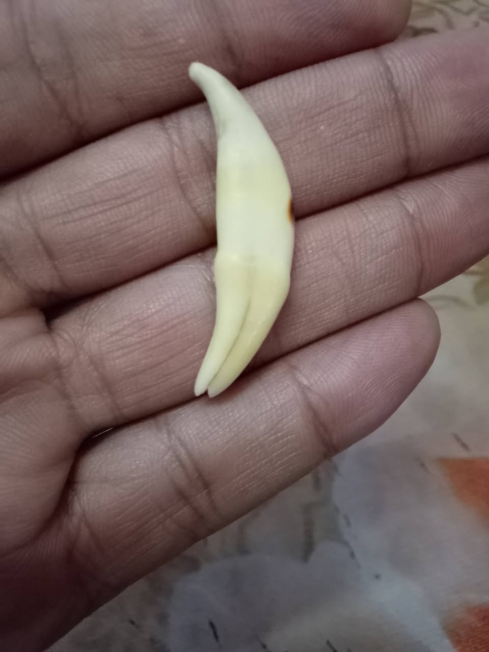 للبيع شلع مكاني بغداد العبيدي للتواصل على واتساب ***********
