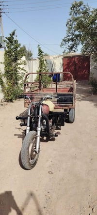 ستوته • نيفان • مكفوله