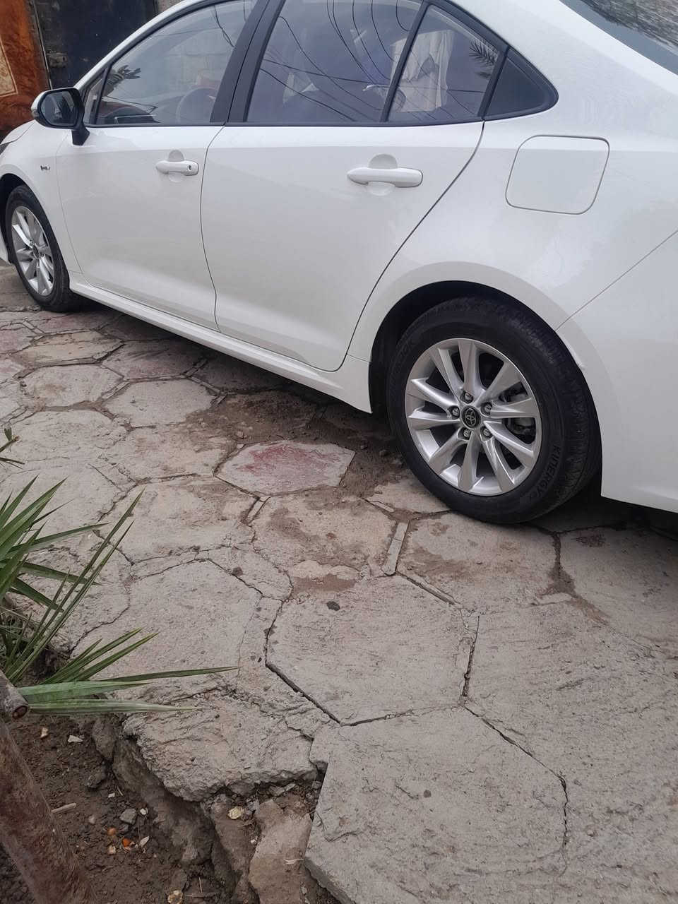 كورلا هايبرد 2025
مكفوله من حادث والصبغ 
بغداد بسمي 
مكان سياره بغداد 
فول مواصفات 
ماشيه 20الف 
السعر ١٦٠ 
***********
