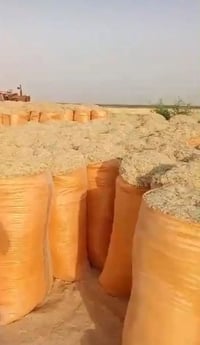 عمال تبن • متوفرين • نشتغل