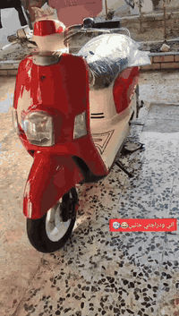 حبيب كلبي للبيع ماكس بوليسي دراجه كفاله برغي ما مفتوح بيه وكلشي شغال بس سلف عاطل  900وبيه مجال هاض رقمي بي وتساب .***********
