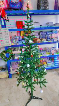 شجرات كريسمس • أحجام مختلفة • النجف المناذرة