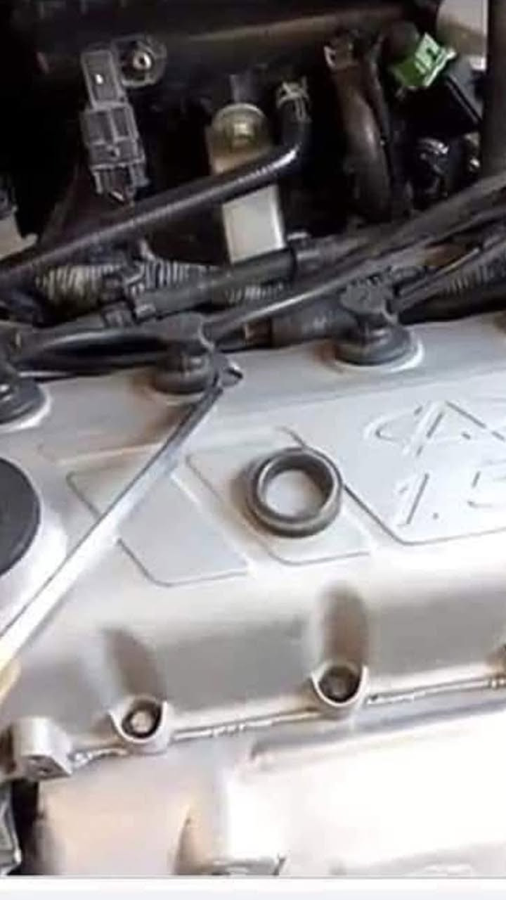 بسم الله الرحمن الرحيم ...

للبيع 

جبن بلكات شيري  فلوين/ كوين  تايوان اصلي درجة اولى  سعر التخم ٨ الاف دينار ..
واشر قبغ ولفات ٤ الاف دينار ..
واشر كيس ٥ الاف دينار .. 

توجد خدمة توصيل بغداد وكافة المحافظات
للحجز المراسلة على ماسنجر او 
 *********** واتساب
