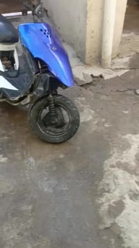 بيجي حربي • كفالة • بو الخصيب