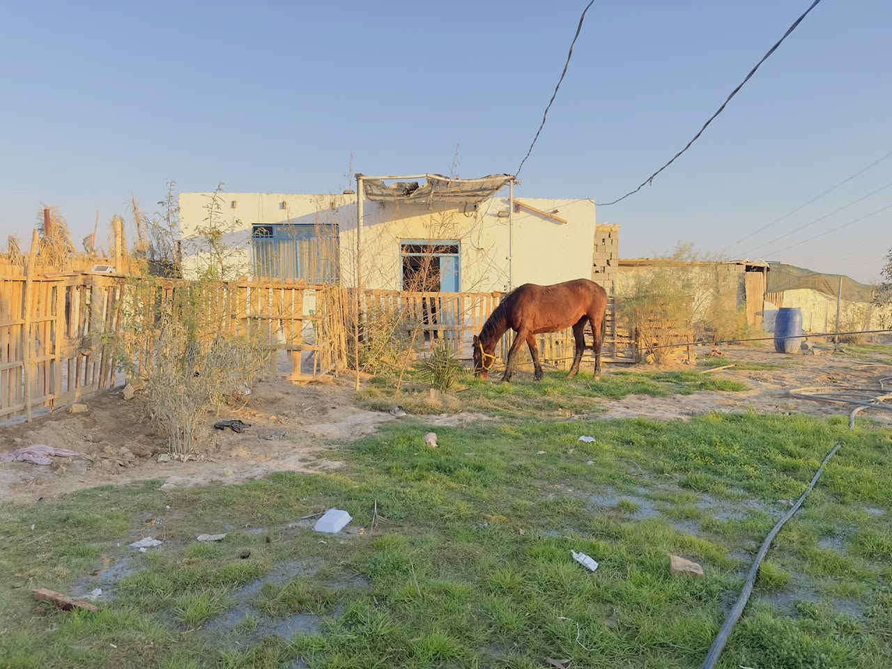 ارض زراعيه المكان كوت بسروكيه ١٧دونم بيه بيت  ومصدر سقي على الشارع العام مقابيل نهر الرحمه للبيع  التواصل على الرقم.  ممكن تكون مزرعه مكان ترفيهي  *********** الشراي مايكون خاطره اله طيب لان اريد ابيع وسعر معقول
