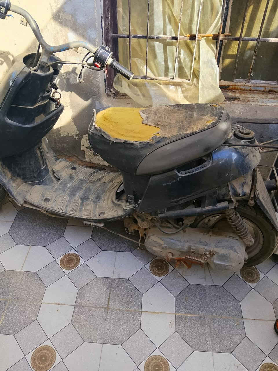 جوم حديد البيع البريد يراسلني على خاص


**إذا كنت صاحب هذا الإعلان وتريد حذفه لأي سبب، رجاءا أرسل رسالة إلى الدعم الفني**