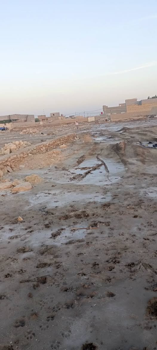 سلام عليكم قطع البيع ال ابو حجر قرب مدرسة اكد  طابو زراعي قرار محكمه قطع 200 متر ع شارعين وقطع 170 متر شارعهه 7 متر ستفسار ع رقم ***********
