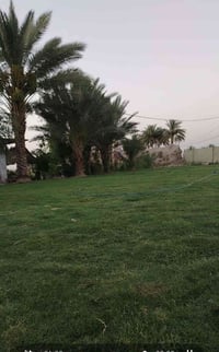 البدعه • ٦٠ دونم • طابو زراعي