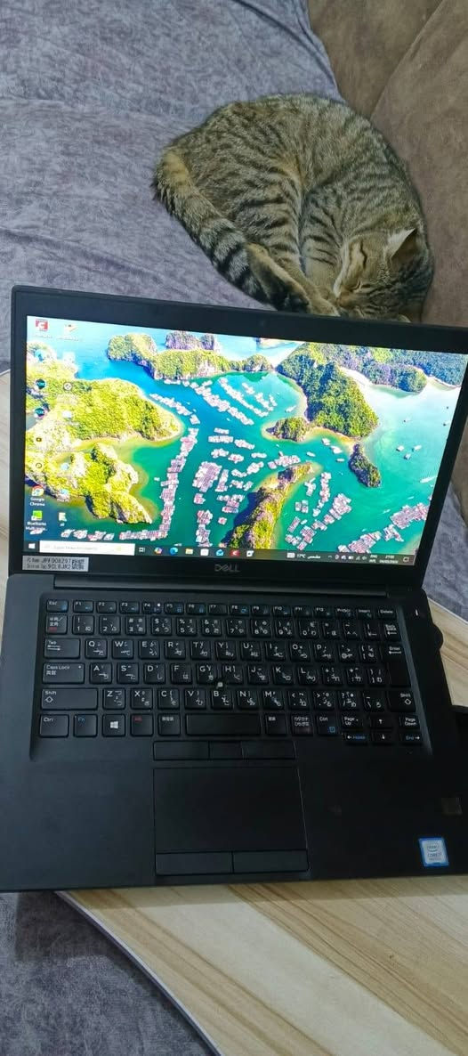 لابتوب دل اضائة كييورد + ماوس اساسي + ماَوس كيبورد + ماَوس لاسلكي معالج قوي مواصفات حلوة قوي بالالعاب  فقط بيه مشكله بطاريته ضعيفه يحتاج تبديل لو تبقه تستخدمه على المحوله عادي سعر ٣٠٠ اذا ميفيدك بهذا السعر لتعلق ولاتدخل خاص


**إذا كنت صاحب هذا الإعلان وتريد حذفه لأي سبب، رجاءا أرسل رسالة إلى الدعم الفني**