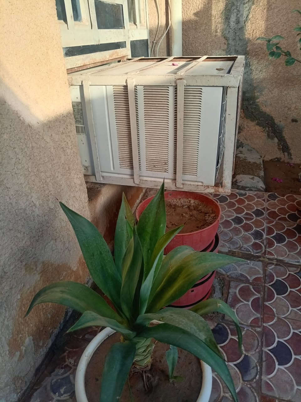 السلام عليكم 

مكيف ميديا شباكي ٢ طن مستخدم للبيع 

العنوان كاطون الرحمه


**إذا كنت صاحب هذا الإعلان وتريد حذفه لأي سبب، رجاءا أرسل رسالة إلى الدعم الفني**