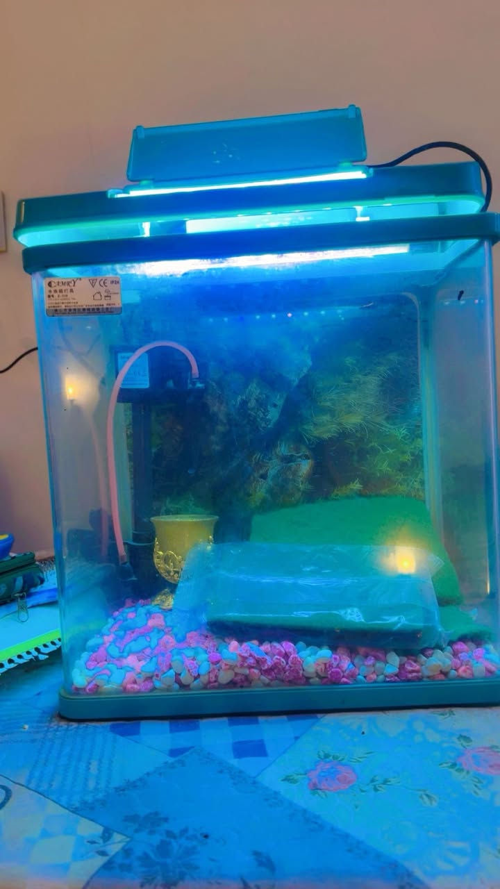 القطعة فقط ب ٣٠ الف القياس ٣*٤ متر


**إذا كنت صاحب هذا الإعلان وتريد حذفه لأي سبب، رجاءا أرسل رسالة إلى الدعم الفني**