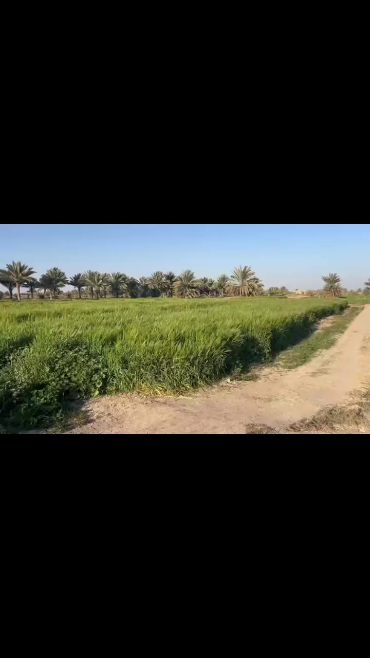 امتلك أرضك اليوم، وابنِ مستقبل أحلامك غداً. قطع أراضي متميزة في مواقع استراتيجية، استثمار آمن وحياة هادئة تنتظرك!"، تعتبر هذه العبارة مزيجاً فعالاً يجمع بين الطموح الشخصي والأمان المالي. 
مساحة الارض 2دونم
نوع الارض اصلاح زراعي
مواقع حله منطقة اصخله الحماد
لاستفار اكثر الاتصال ***********
